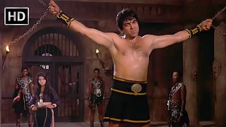 मेरे मरने से पहले आप मुझ पे मरने लगोगी | Dharam Veer Movie | Dharmendra, Zeenat Aman | Action Scenes