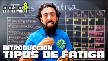 ¿Cuáles son los tipos de fatiga?