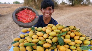 Wow! Eat  Sour Marian Plum Fruit With Chili Salt And Pepper Very Delicious - Makbrang