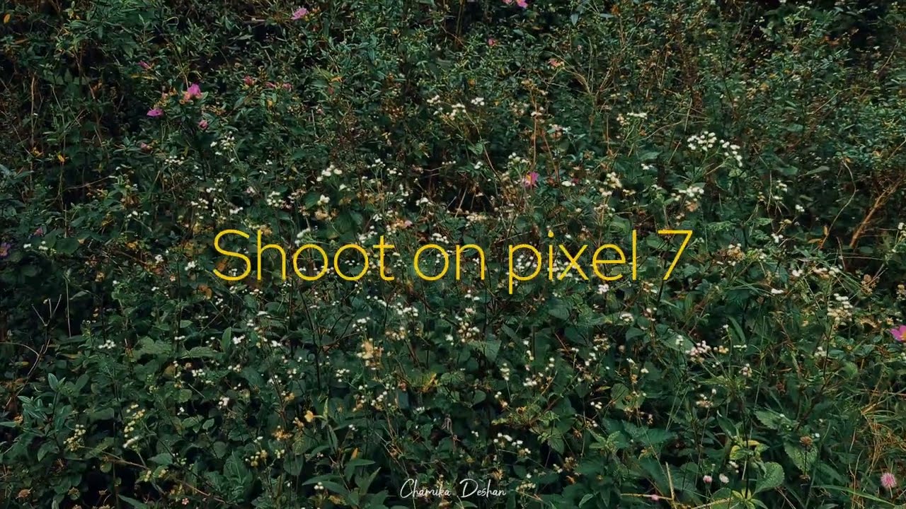 Google Pixel 7 Cinematic video