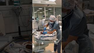 Обход в реанимации #реанимацияноворожденных #торопыжки