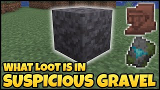 What Loot Is In SUSPICIOUS GRAVEL In MINECRAFT