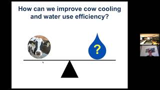 Reducing Heat Stress to Improve Dairy Cattle Welfare | Grazyne Tresoldi