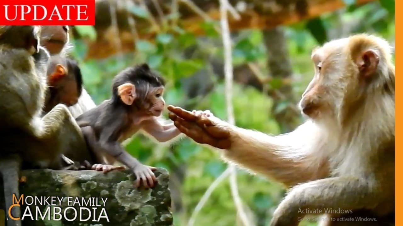 My Heart Shining ...Baby Jody Love Granny Teresa So Much