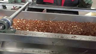 Famous Hazelnut Kernel and shell separated Working Video from Vivian Net Worth