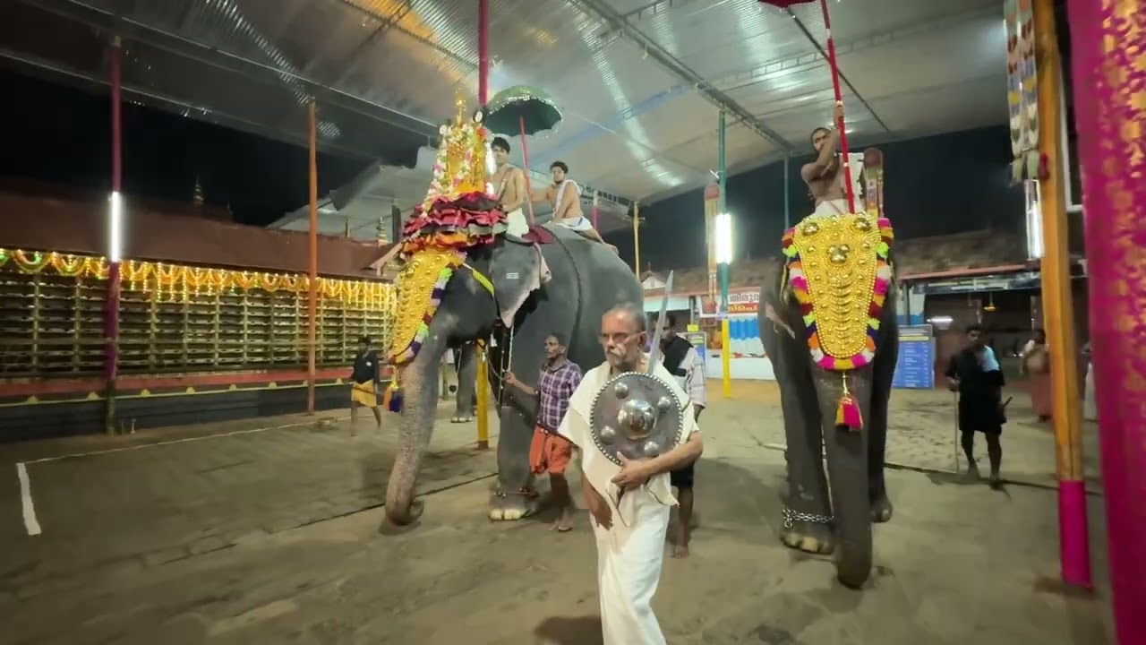 കുമാരനല്ലൂർ 🔥❤️ മേളം 🔥