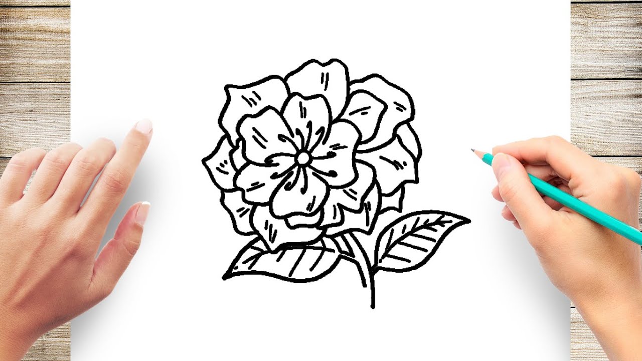 How To Draw Peony Flower Step By Step Youtube