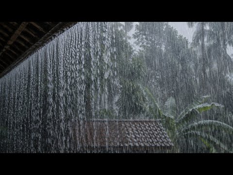 Real Rain Sounds 🌧️ Fall Asleep Instantly, Deep Sleep & Insomnia Relief | No Ads 😴