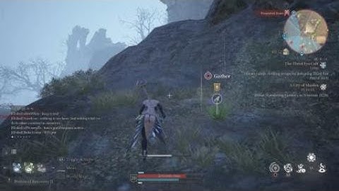 Bless Unleashed - Killing a PK fighting a sub-boss