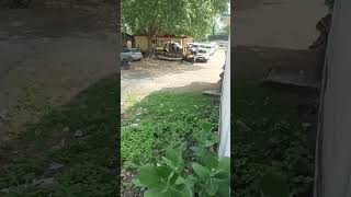 #bhojpuri #song bich bazaruya parisasan