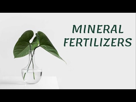 Video: Baja Mineral