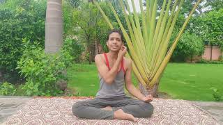 Gentle Yoga for Seniors Part 2: Boost Mobility & Ease Stiffness |