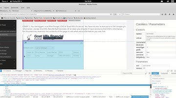 Client Side Filtering webgoat