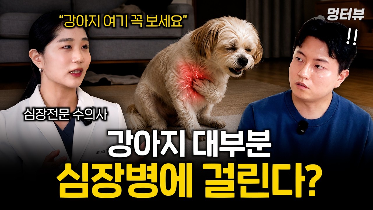 늦으면 큰일 나는 강아지 심장병 (집에서 이 신호를 절대 놓치지 마세요) | 멍터뷰 ep.97