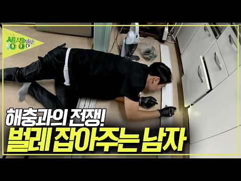 해충과의 전쟁! 해충 방역 전문가 양선우 씨의 독한 인생 [2TV 생생정보] KBS 260618 방송