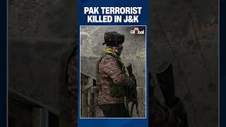 Stani Jaish Terrorist Killed In J&K Encounter Mive Search Ops Underway In Kathua, Kishtwar