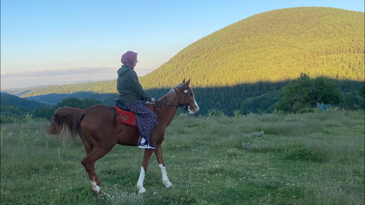 ATIM HER YERİNİ YARALAMIŞ AYAKLARI KAN İÇİNDE😢