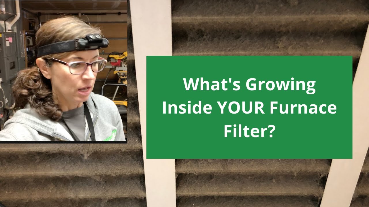 How Often Should You Replace Your Furnace Filter? YouTube
