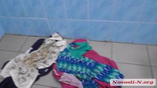 Видео Новости-N: Собаки в операционной Видео Новости-N: Собаки в операционной