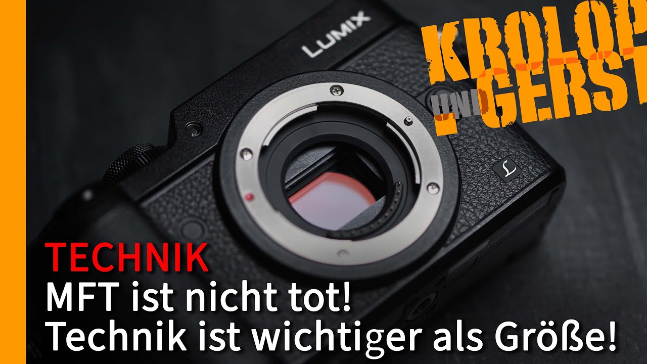 Olympus OM-1 vs Panasonic G9 II - Welche MFT Kamera für die Wildlife Fotografie?