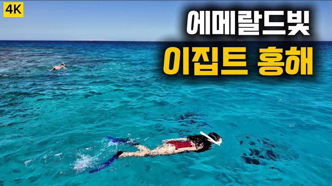 🇪🇬이집트 여행 - Day2 🧑 에메랄드빛 홍해, 스쿠버 다이빙과 스노클링으로 황홀했던 하루