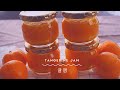 3 ingredient easy tangerine jam recipe 4k