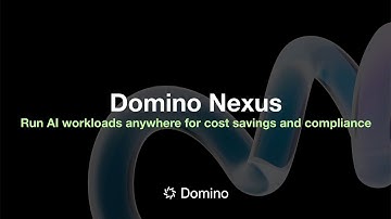 Introduction to Domino Nexus