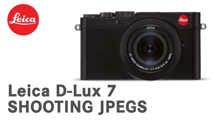 Leica D-Lux7 4/3 Sensor Enthusiast Camera review by Dale 