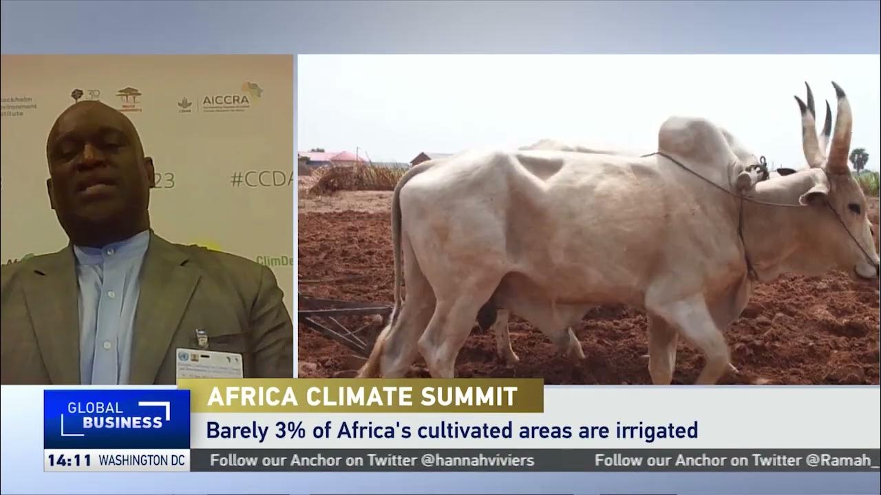 UNECA to secure strategic policy positions at Africa Climate Summit