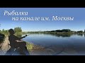 Рыбалка на канале им Москвы, деревня Жостово, Жостовский залив, Московская область. Фидер