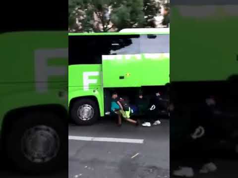 Stealing Luggage From a Moving Bus in France