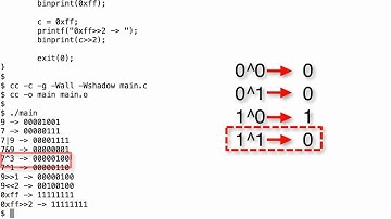 8 operaciones bit a bit