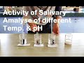 ACTIVITY OF SALIVARY AMYLASE AT DIFFERENT TEMPERATURE AND pH