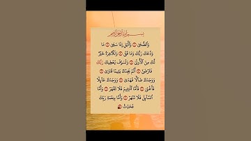 سورة الضحى الشيخ سعد الغامدي #الضحى #quran #سعد_الغامدي #dua