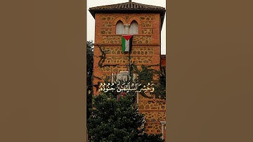 أجر لي ولكم 🌼#علي_جابر #سورة_النمل #اجر_لي_ولك #قرآن #أذكر_ربك_إذا_نسيت