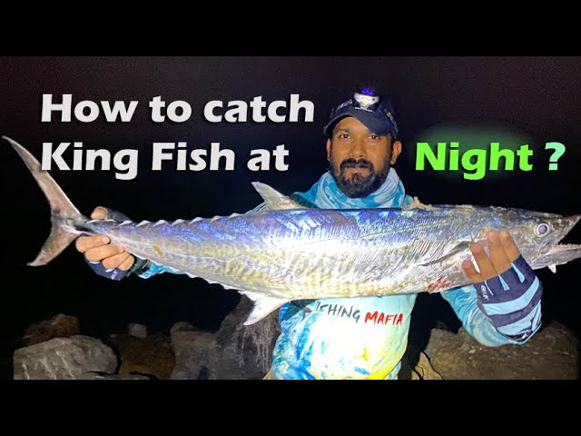 How to catch King Fish at Night ! 