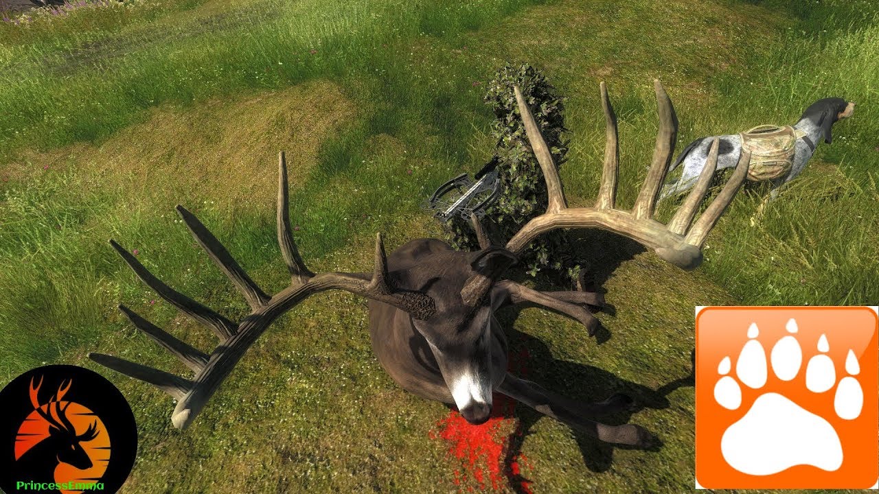 Thehunter Classic 180"  Whitetail Buck Whitehart Island (4K ULTRA HD)