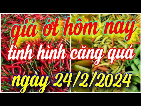 ผลสลากกินแบ่งรัฐบาล วันที่ 1 พย. 2567 ผลสลากกินแบ่งรัฐบาล วันที่ 1 พย. 2567