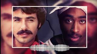 Ferdi Tayfur ft. Tupac Shakur - Sevda Yelleri (TİGER BEATS REMİX) Resimi