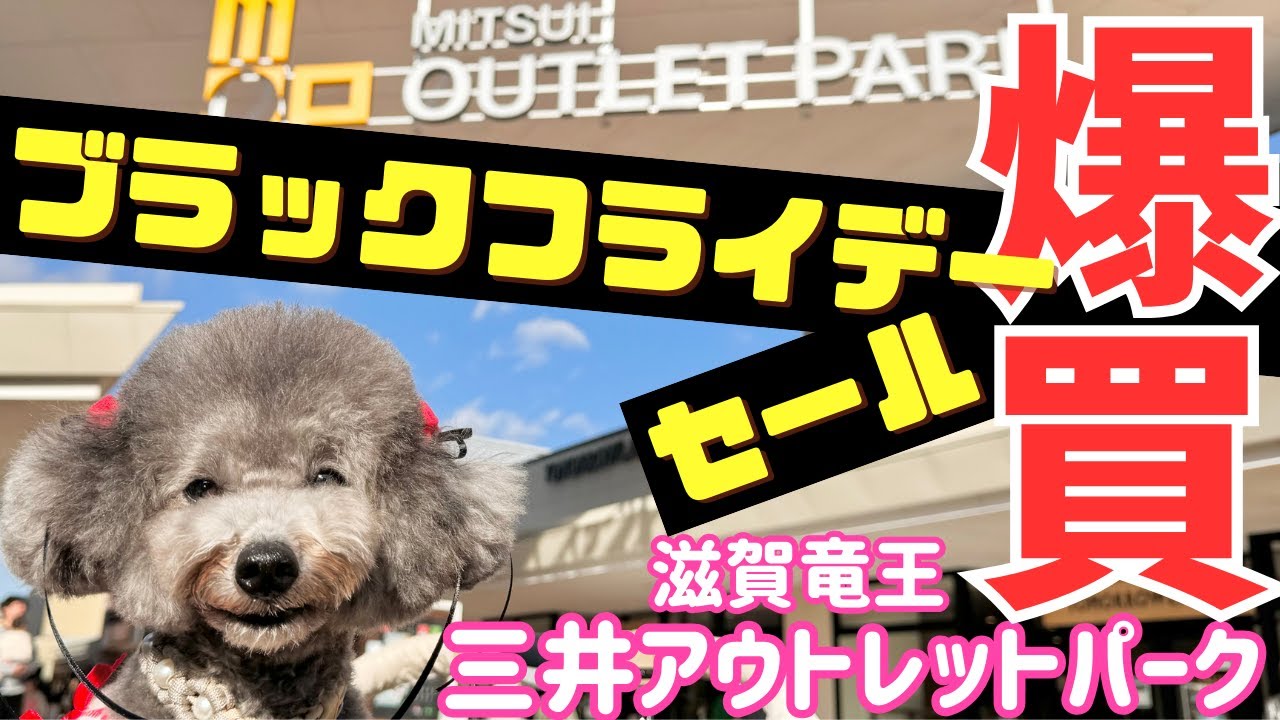 【爆買い】滋賀竜王アウトレットブラックフライデーで愛犬とお買い物が凄すぎた🐩コーディネイト購入品紹介【犬とお出かけ】