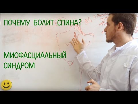 Почему болит спина? Основной синдром "остеохондроза".  Миофасциальный синдром.