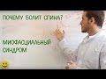 Почему болит спина? Основной синдром "остеохондроза".  Миофасциальный синдром.