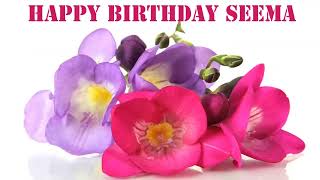 Seema   Flowers & Flores - Happy Birthday