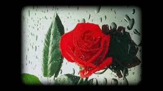 ÖLSEMDE BİR KALSAMDA BİR - (Enstrümantal Mix Düzenleme)
