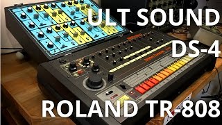 Ult Sound DS 4 Custom & Roland TR-808 Rhythm Composer Demo - YouTube