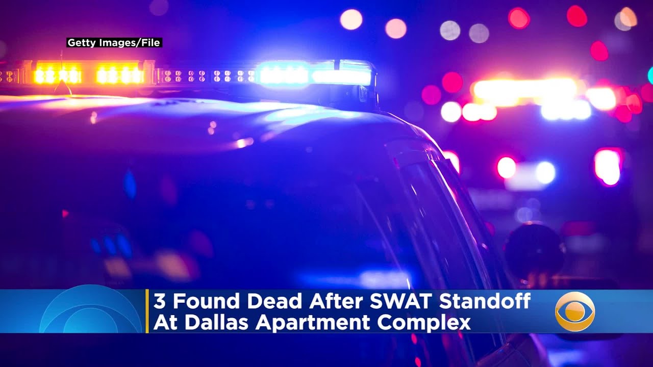 3 Found Dead After SWAT Standoff At Dallas Apartment Complex - YouTube