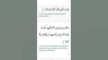 سوره الكهف فإنها نور بين الجمعتين لا تنسوا قراءه سوره الكهف يوم الجمعه #القرآن الكريم