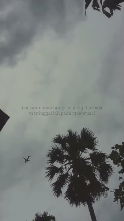 Story WA | Hari Valentine (14 Februari)