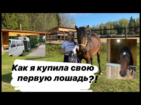 Как я купила свою первую лошадь ?!/Моя история