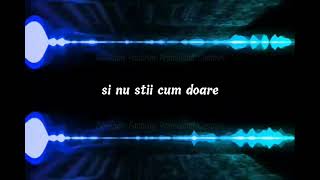 Dj Project ft. Giulia - Mi-e Dor De Noi ( Official Karaoke Version )